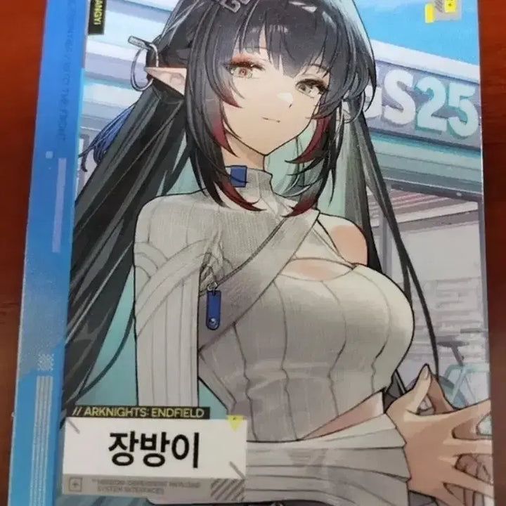 [BUNJANG] GS25 x ENDFIELD Jangbangyi &amp; SD Photocard Bundle Set / GS25 엔드필드 장방이와 SD 포토카드팝니다