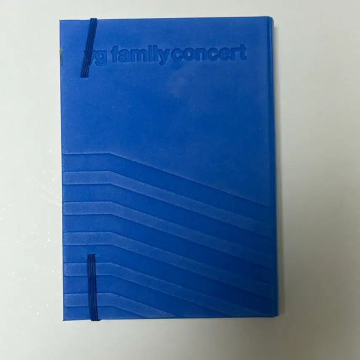 [BUNJANG] BIGBANG 2010 YG Family Concert Photobook / 빅뱅 투애니원 2010 YG 패밀리 콘서트 포토북