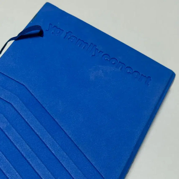 [BUNJANG] BIGBANG 2010 YG Family Concert Photobook / 빅뱅 투애니원 2010 YG 패밀리 콘서트 포토북