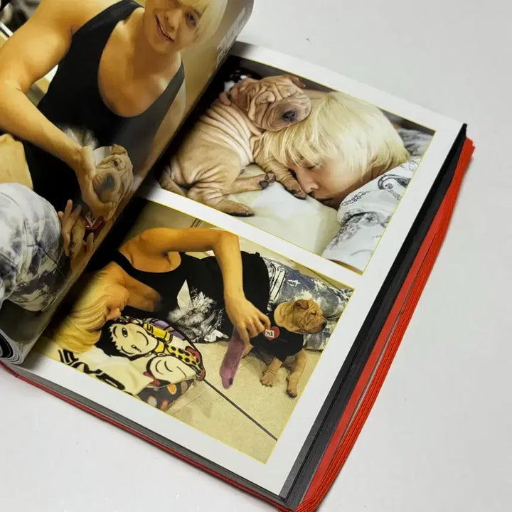 [BUNJANG] BIGBANG 2010 BIGSHOW Photobook with Photo Stickers / 빅뱅 2010 빅쇼 BIGSHOW 포토북 판매합니다+포토 스티커