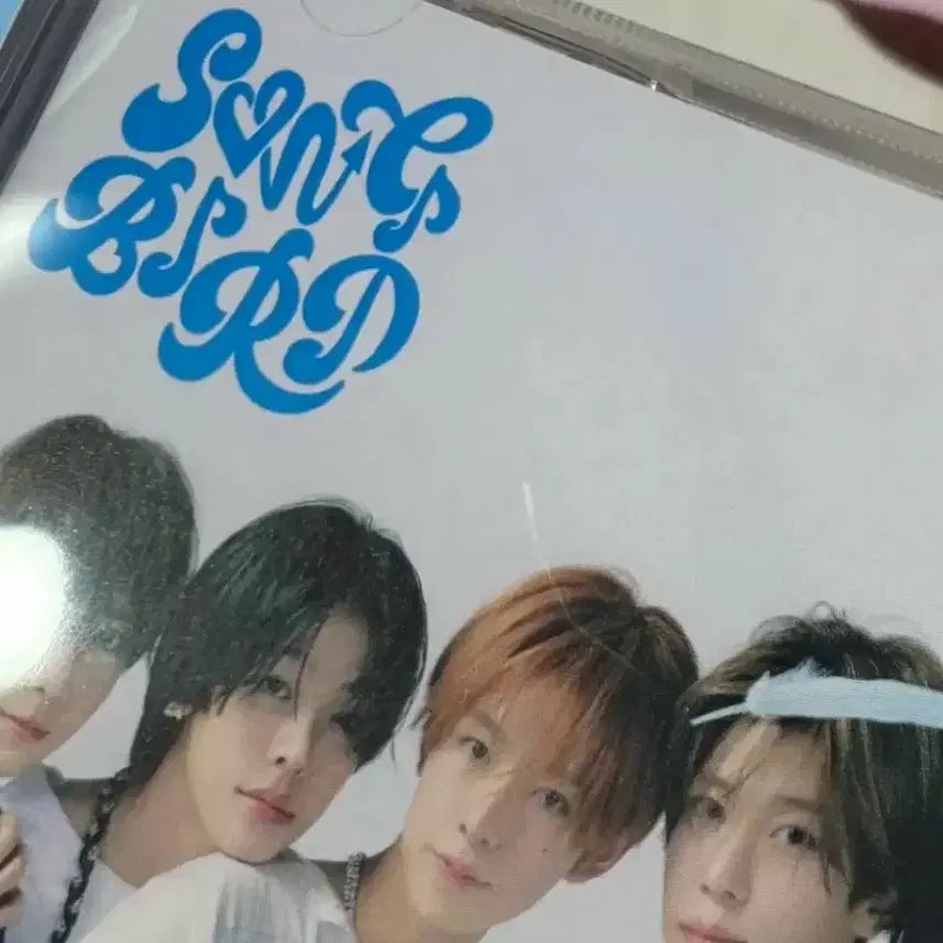 [SOLD OUT] 엔시티위시 송버드 일본 앨범 단체버전 nct wish songbird