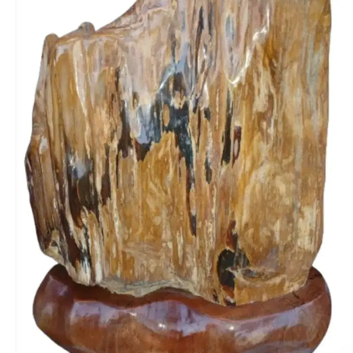 [BUNJANG] Fossilized Wood Sculpture / 나무화석