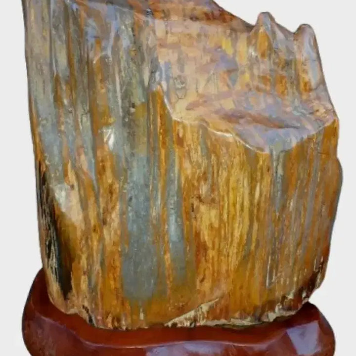 [BUNJANG] Fossilized Wood Sculpture / 나무화석