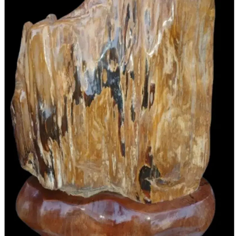 [BUNJANG] Fossilized Wood Sculpture / 나무화석