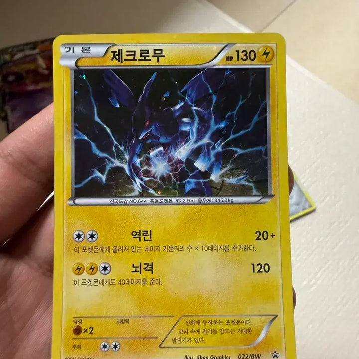 [BUNJANG] Pokemon Card BW Zekrom &amp; Reshiram / 포켓몬카드 bw 제크로무 , 레시라무