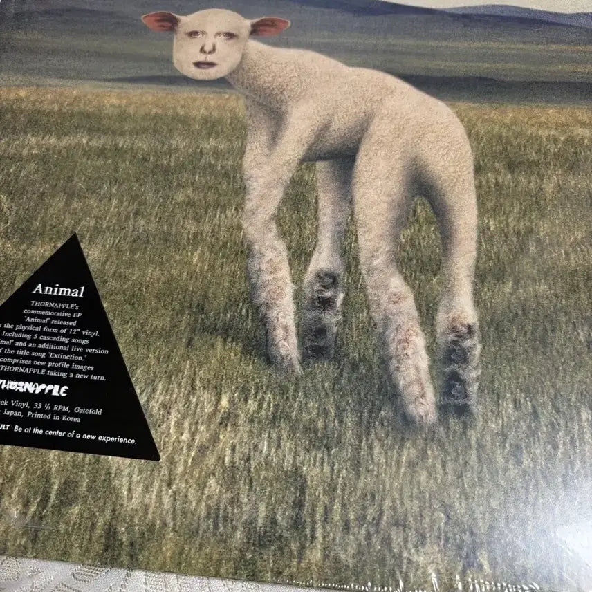 [BUNJANG] Thornapple Animal LP (Sealed) / 쏜애플 동물 lp 팔아요!(미개봉)