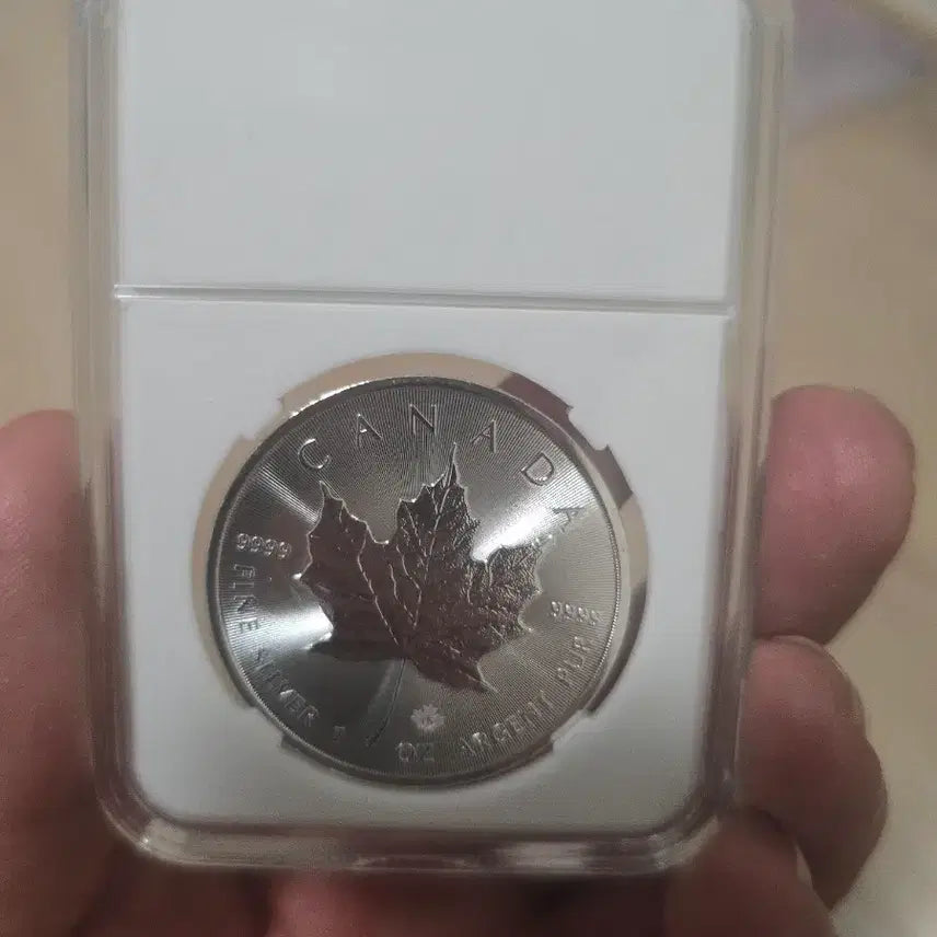[BUNJANG] Canada Maple Leaf Silver Coin 1oz / 캐나다 메이플 리프 은화 1oz