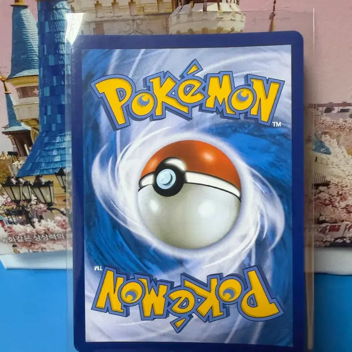 [BUNJANG] Pokemon Card Charizard V Album / 포켓몬카드 리자몽 V 앨범용