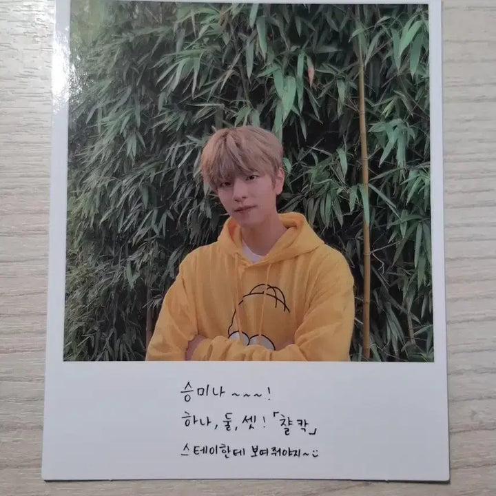 [BUNJANG] Stray Kids Seungmin Limited Edition Components Photocard / 스트레이키즈 승민 고생 한정반 구성물 폴라 하자있음