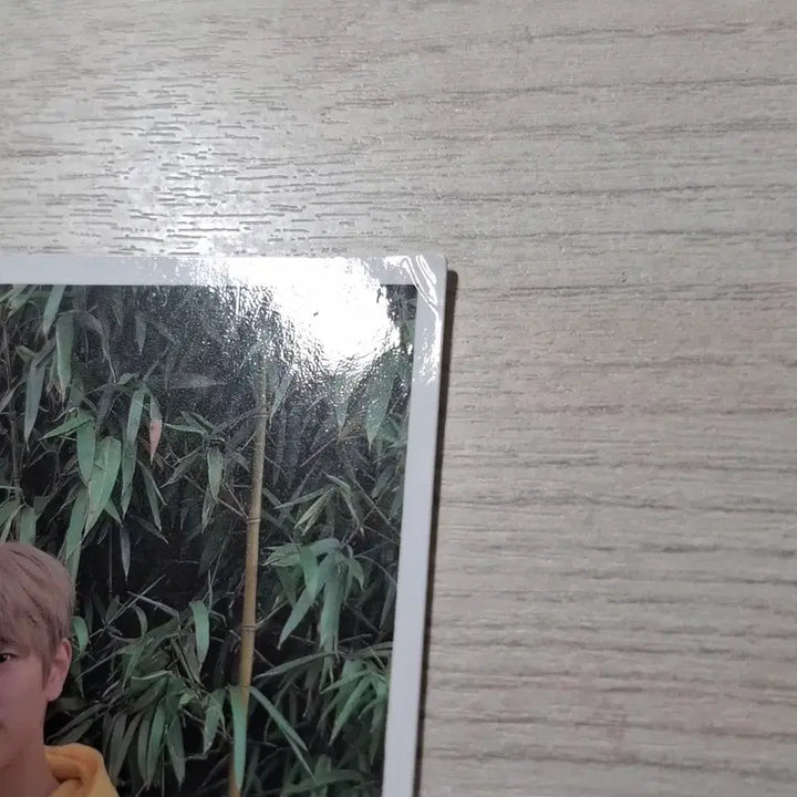 [BUNJANG] Stray Kids Seungmin Limited Edition Components Photocard / 스트레이키즈 승민 고생 한정반 구성물 폴라 하자있음