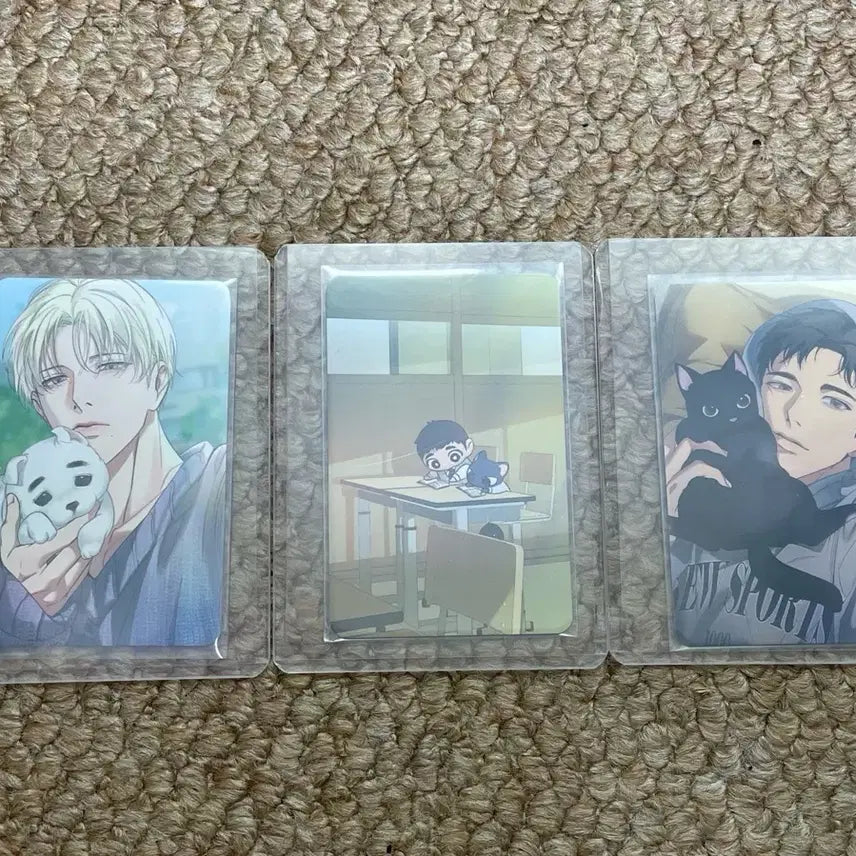 [BUNJANG] Backlight Collection Photocard Bundle Set / 백라이트 컬렉션포토카드