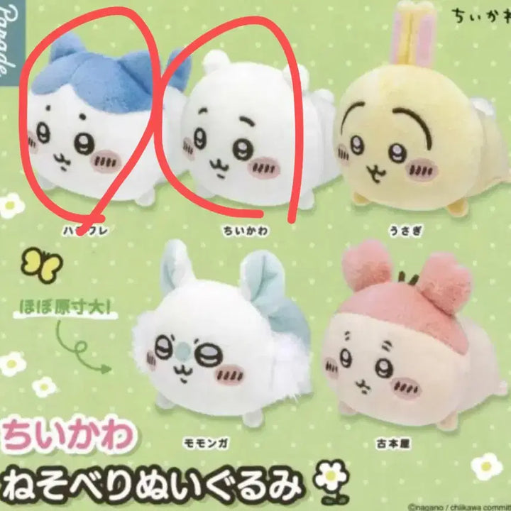 [BUNJANG] ChiiKawa Nesoberi Plush Doll Hachiware / 먼작귀 치이카와 네소베리 인형 가챠 하치와레 치이카와