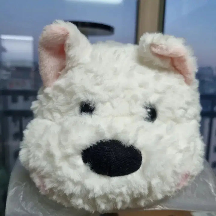 [BUNJANG] Reversible Dog/Fox Plush Toy 30cm / (새상품)반전 여우/ 강아지 인형 30cm