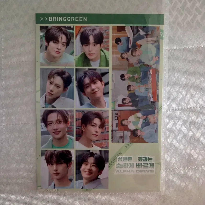 [BUNJANG] Aldiwon Bring Green Group Sticker Set / 알디원 브링그린 단체 스티커