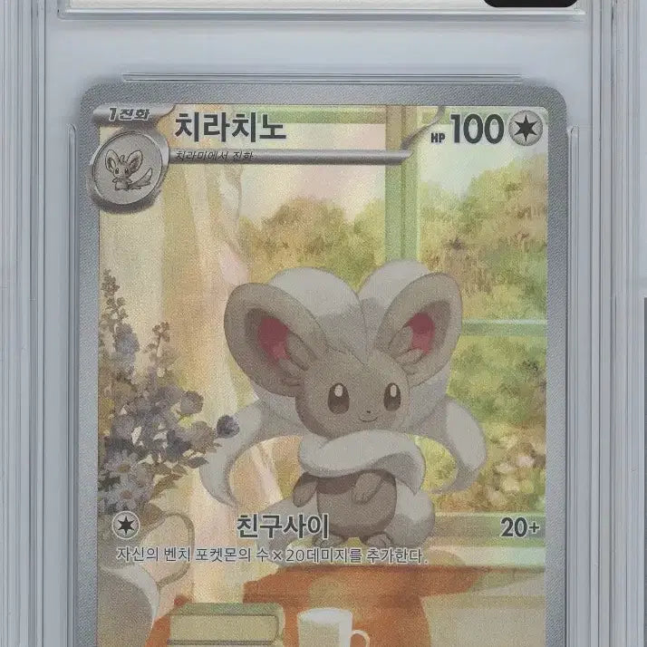 [BUNJANG] Chirachino AR Card BRG 10 / 치라치노 AR brg 10