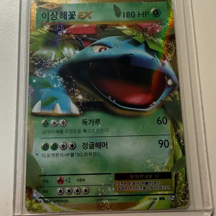 [BUNJANG] Venusaur-EX Pokemon Card / 포켓몬카드 이상해꽃EX