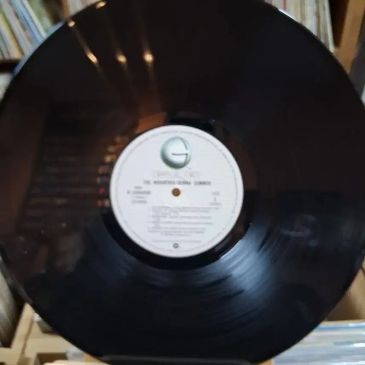 [BUNJANG] Donna Summer &