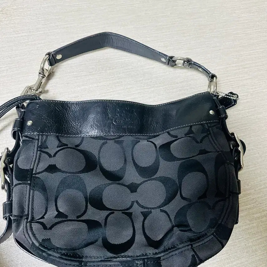 [BUNJANG] Coach Bag / 코치가방