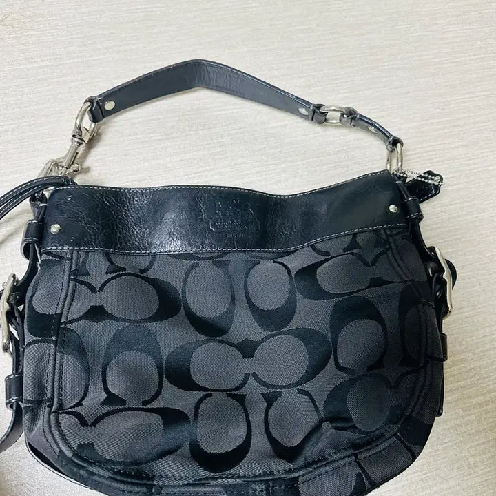 [BUNJANG] Coach Bag / 코치가방