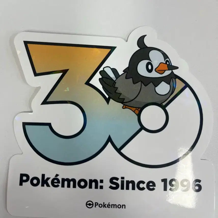 [BUNJANG] Pokemon 30th Anniversary Taillow Sticker / 포켓몬 30주년 찌르꼬 스티커