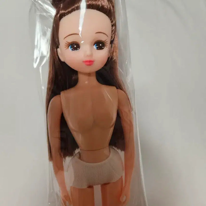 [BUNJANG] Castle Rica (Head Only) Doll / 상자 캐슬리카 (헤드만)