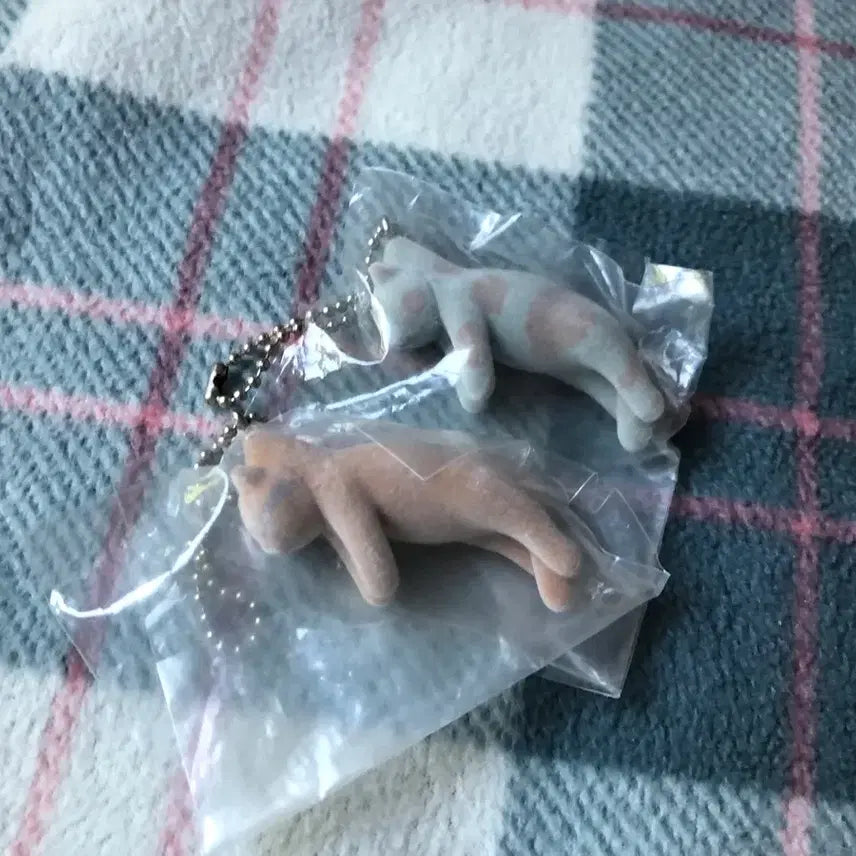 [BUNJANG] Tsukemono Neko Hanging Cat Gacha Keychain / 매달린 고양이 가챠 키링 츠만다 네코