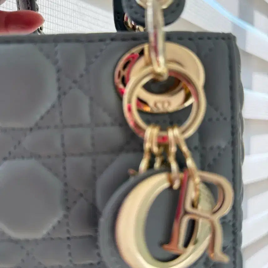 [BUNJANG] Dior Mini Bag / 디올가방미니가방