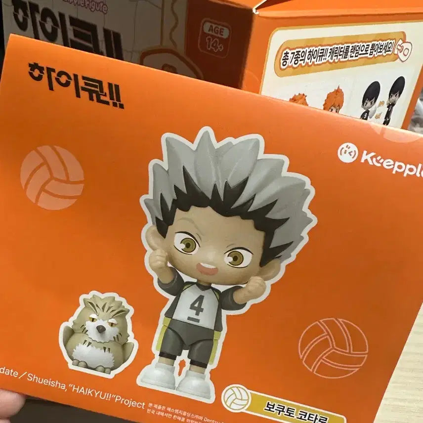 [BUNJANG] Haikyuu Bokuto Model Kit Figure / 하이큐 모델킷 피규어 보쿠토