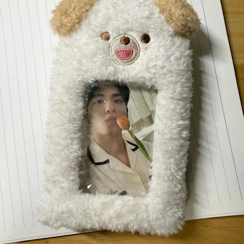[BUNJANG] Day6 Dowoon Photocard Holder / 데이식스 도운 포카홀더 데니멀즈 돈