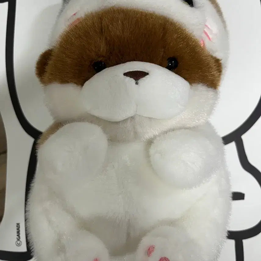 [BUNJANG] Usosoo Dark Brown 27cm Medium Plush Doll / 코네코짱인줄 우소우소 다크브라운 27cm 중형인형