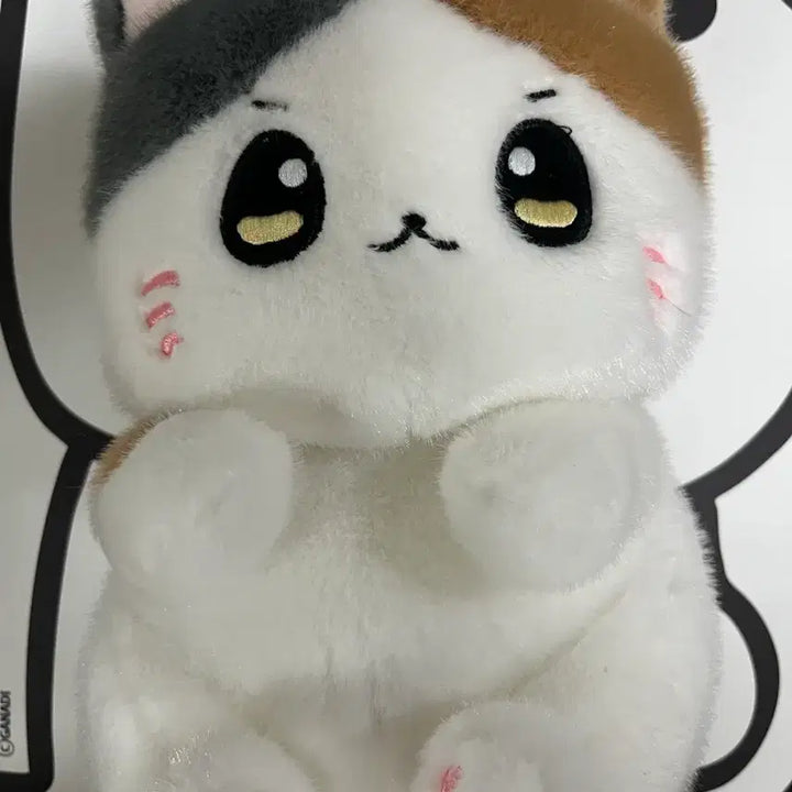 [BUNJANG] Usosoo Dark Brown 27cm Medium Plush Doll / 코네코짱인줄 우소우소 다크브라운 27cm 중형인형