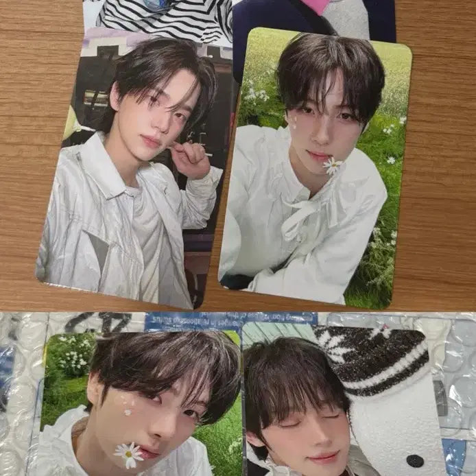 [BUNJANG] TWS Photocard Bundle Set (Weverse POB) / 투어스 tws 포카 6장 위버스 미공포 일괄 양도