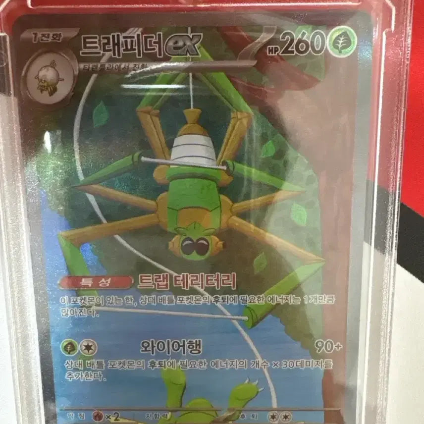 [BUNJANG] Pokemon Terapagos ex SAR Card / 포켓몬 트래피더 ex 카드 SAR