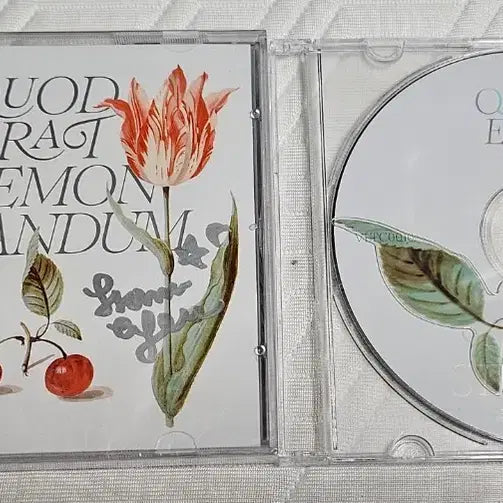 [BUNJANG] FROM EP Q.E.D Limited Edition Signed CD / 밤의 증명 프롬 EP Q.E.D 한정반 (텀블벅)