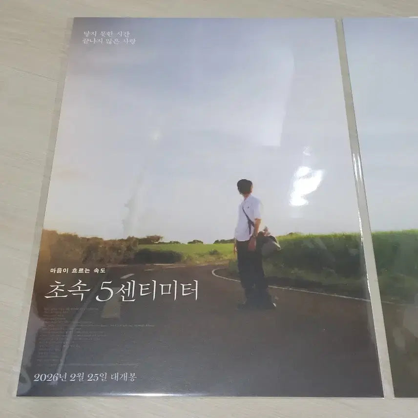 [BUNJANG] 5 Centimeters Per Second Poster Set (2 Types) / [전용박스 안전포장] 초속5센티미터 포스터 2종 세트