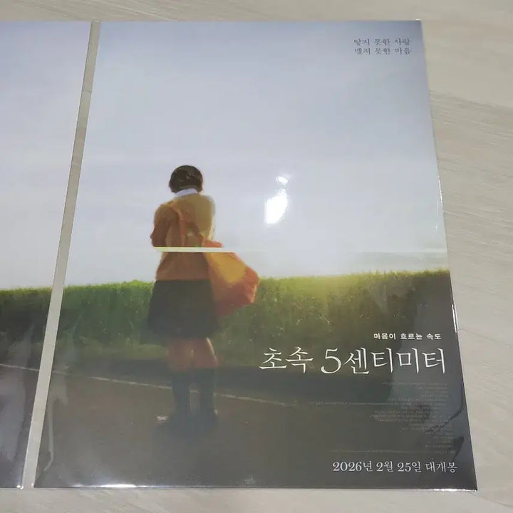 [BUNJANG] 5 Centimeters Per Second Poster Set (2 Types) / [전용박스 안전포장] 초속5센티미터 포스터 2종 세트