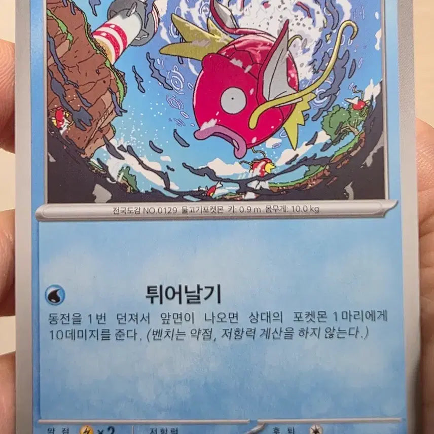 [BUNJANG] Pokemon Magikarp Trading Card / 포켓몬 카드 잉어킹 (Magikarp)