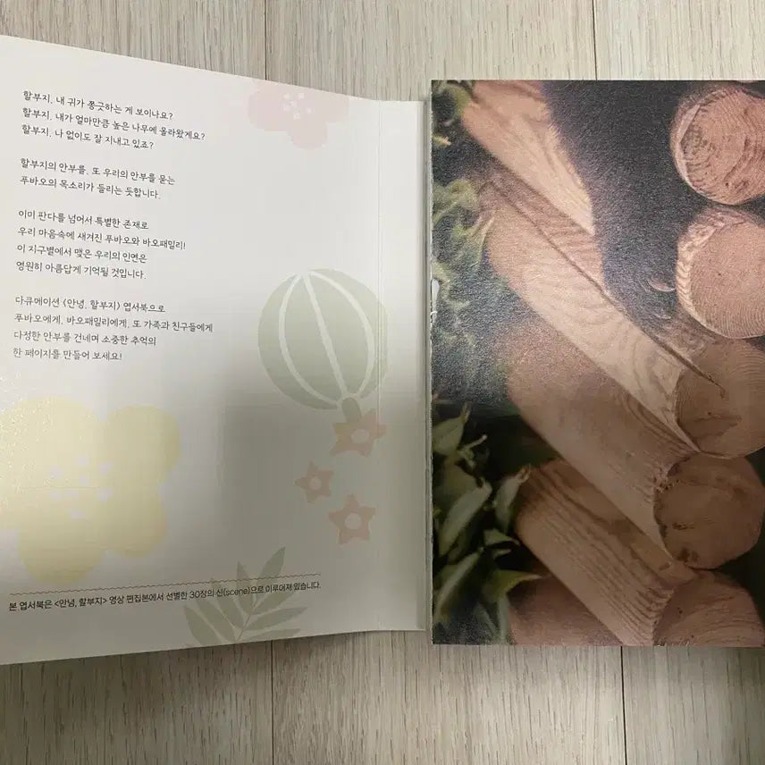 [BUNJANG] Fu Bao Postcard Book "Hello, Grandpa" / (푸바오 굿즈) 영화 안녕, 할부지 엽서북