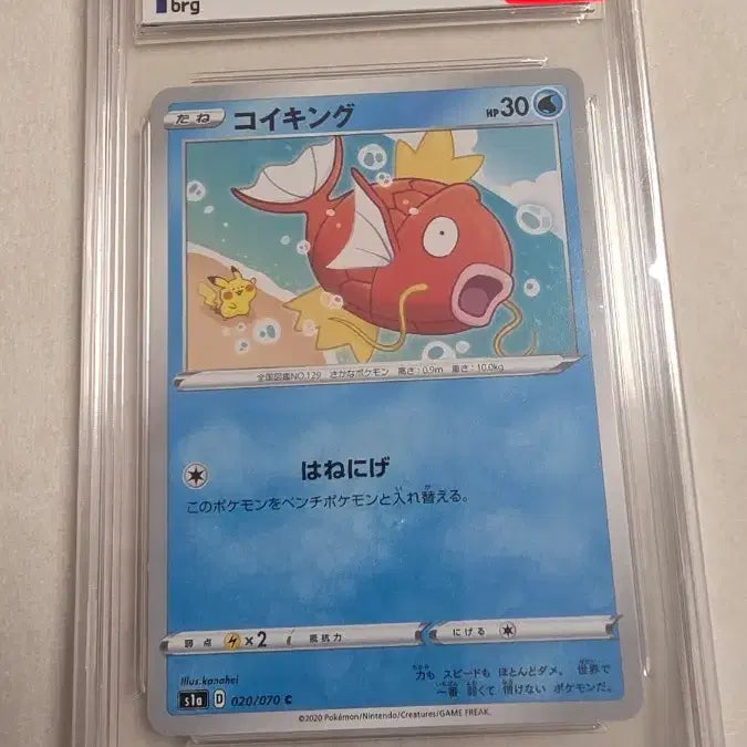 [BUNJANG] Pokemon Card Magikarp S1A Grade 9 / 포켓몬 카드 잉어킹 S1A 9등급