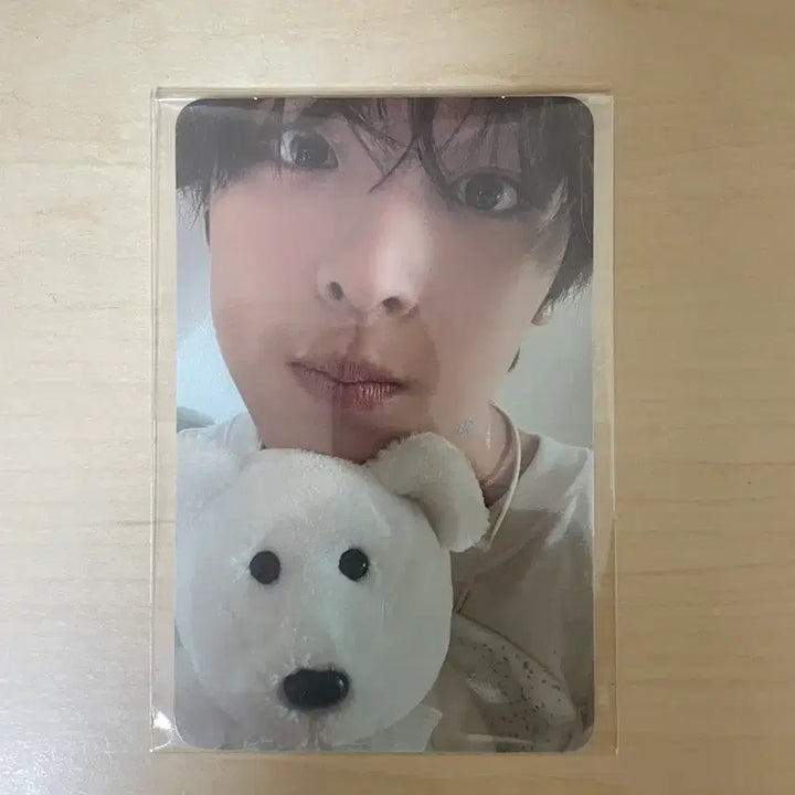 [BUNJANG] NCT WISH Riku Psyche Photocard / 엔시티위시 스테디 파인딩 프시케 리쿠 포토카드 포카 앨포