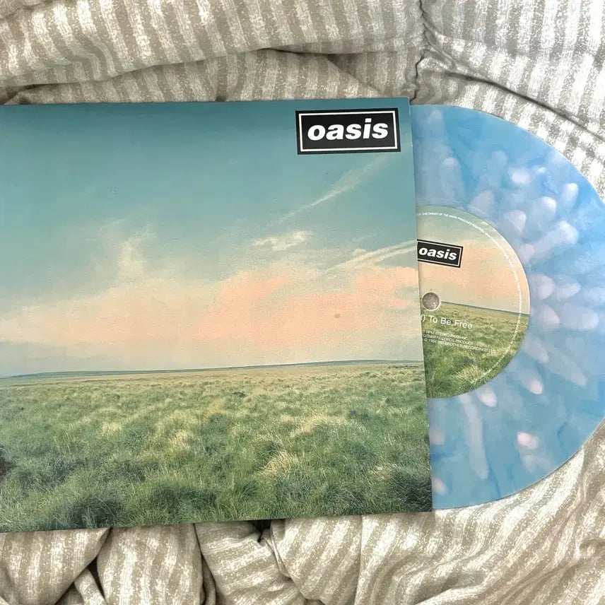 [BUNJANG] Oasis 7-inch Vinyl Record / 오아시스 Lp whatever 7인치