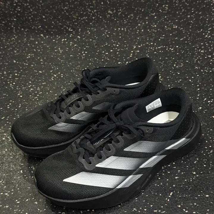 [BUNJANG] Adidas evo sl Running Shoes / 아디다스 evo sl 러닝화