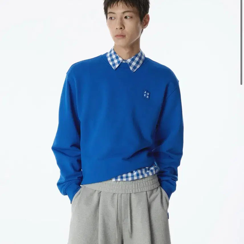 [BUNJANG] Ader Error Significant Sweatshirt &amp; T-Shirt / 아더에러 시그니피컨트 맨투맨, 반팔