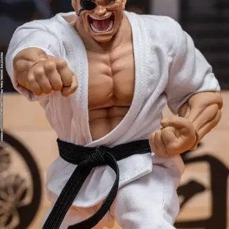 [BUNJANG] Storm Collectibles Orochi Action Figure / 한정할인/스톰 콜렉터블 오로치 도포 액션 피규어 미개봉, 만화 바키