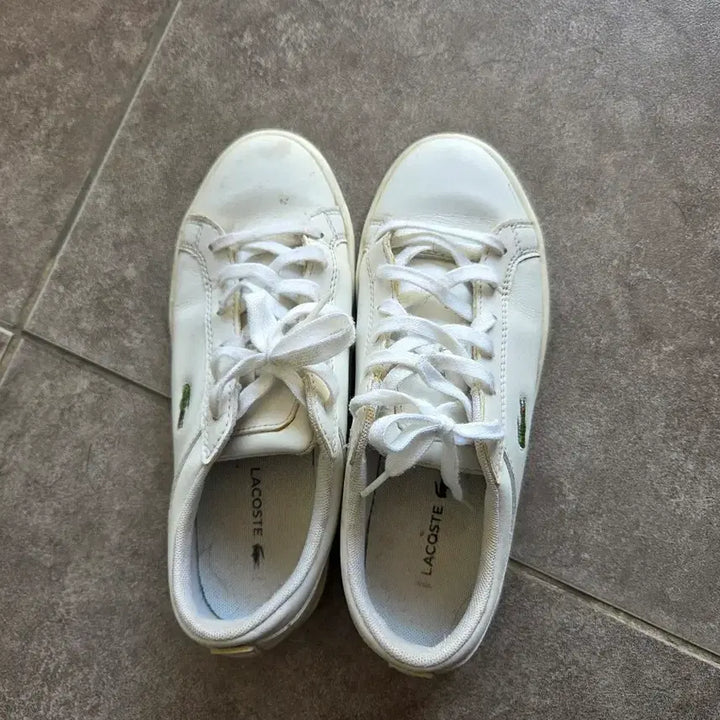 [BUNJANG] Lacoste White Sneakers 225 / 라코스테 흰색 스니커즈 운동화225