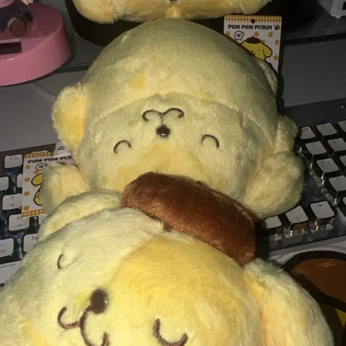 [BUNJANG] Sanrio Pompompurin Plush Pillow / 산리오 밥먹고 누워자는 폼폼푸린 복슬 돼지 푸딩 덩어리 복부비만