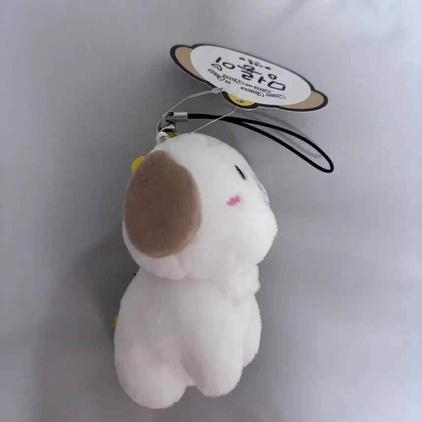 [BUNJANG] 10cm Yeonjun 1st Gen Pouch / 1기 10cm 멍룡이