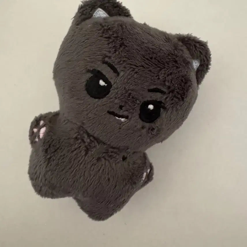[BUNJANG] Enhypen Jay Park Jongseong Doll / 엔하이픈 제이 박종성 인형 쫑큘라 양도