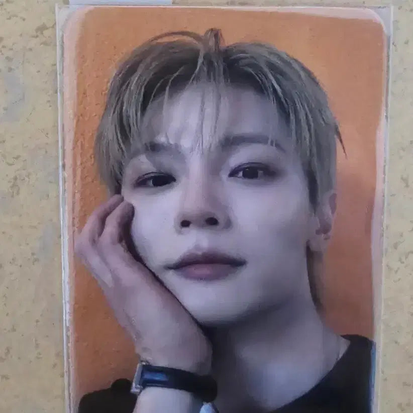 [BUNJANG] LUCY (Island Ver.) Dingo POB Photocard (Yechan) / 루시(Island Ver.) 딩고 특전 포토카드(예찬) 판매합니다