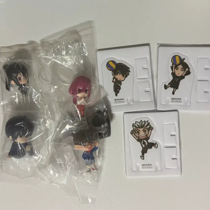 [BUNJANG] Haikyuu!! Pop-up Exclusive Sna, Bokuto, Kageyama Standee Bundle Set / 블루록 코난 괴수8호 가챠 피규어 하이큐 팝업 특전 스나 보쿠토 카게야마 스탠드 일괄 양도